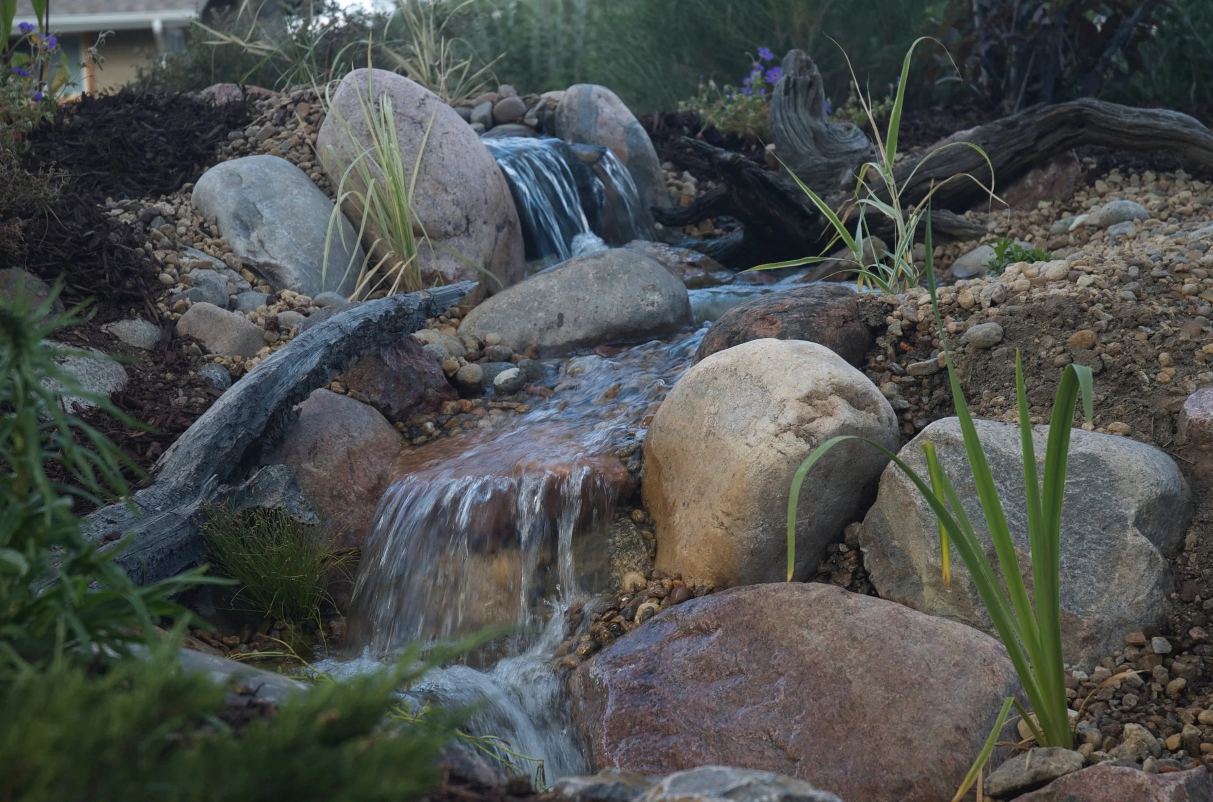 DSC_0006.jpg