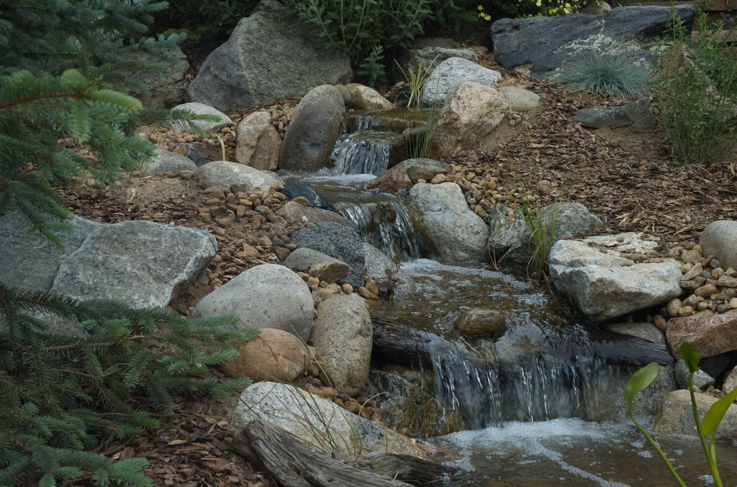DSC_0009.jpg