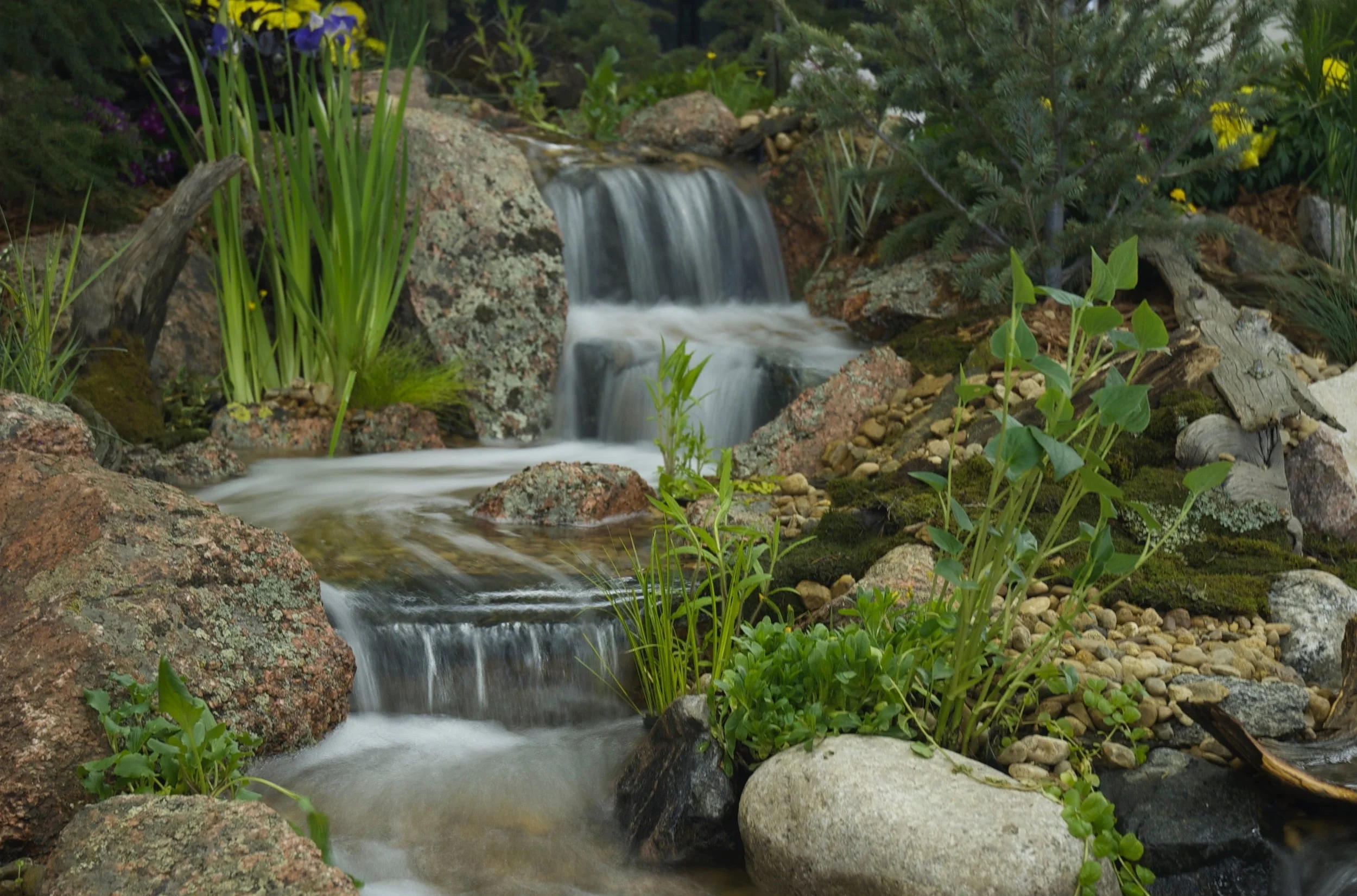 DSC_0011.jpg