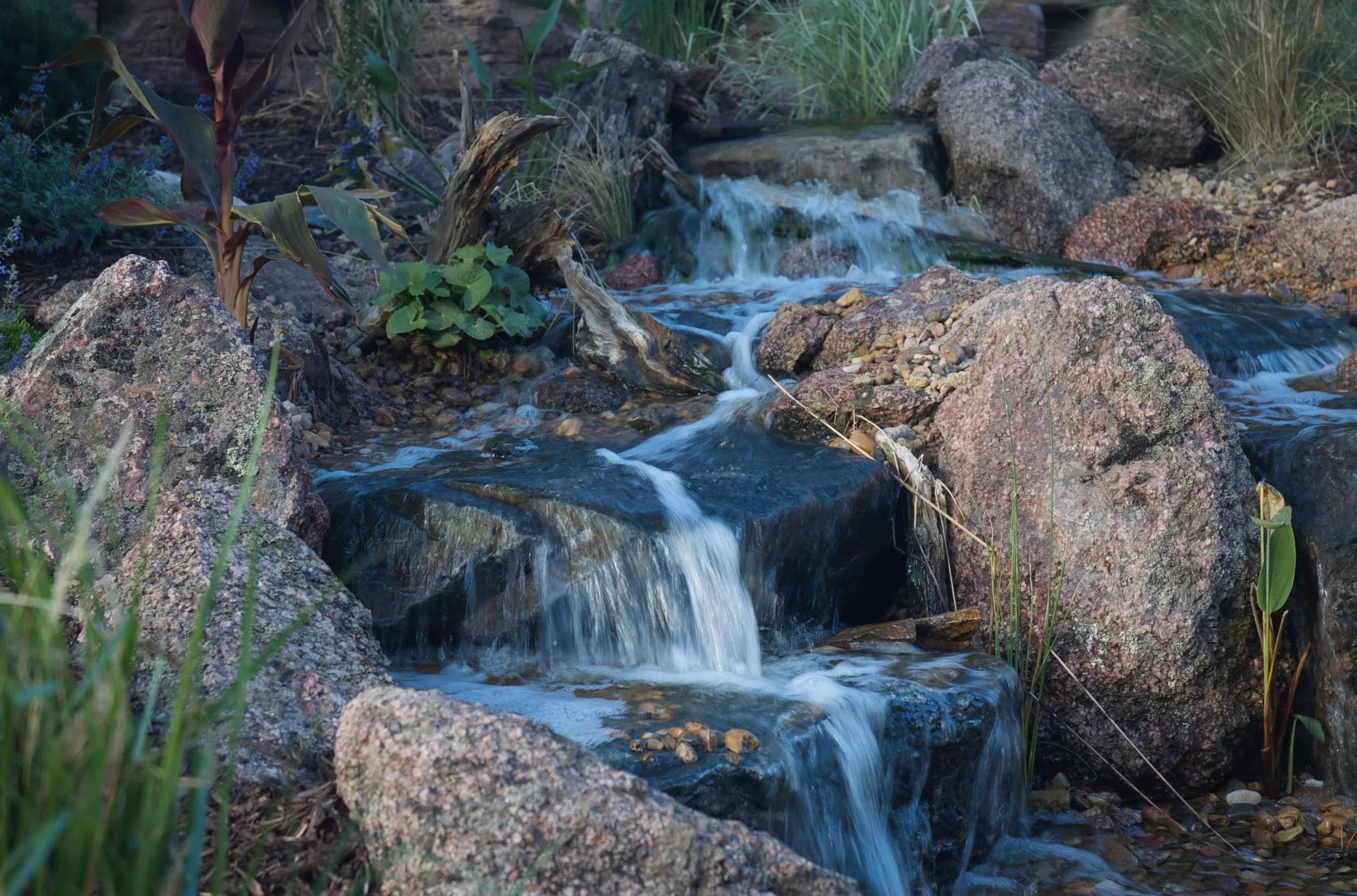 DSC_0038.jpg