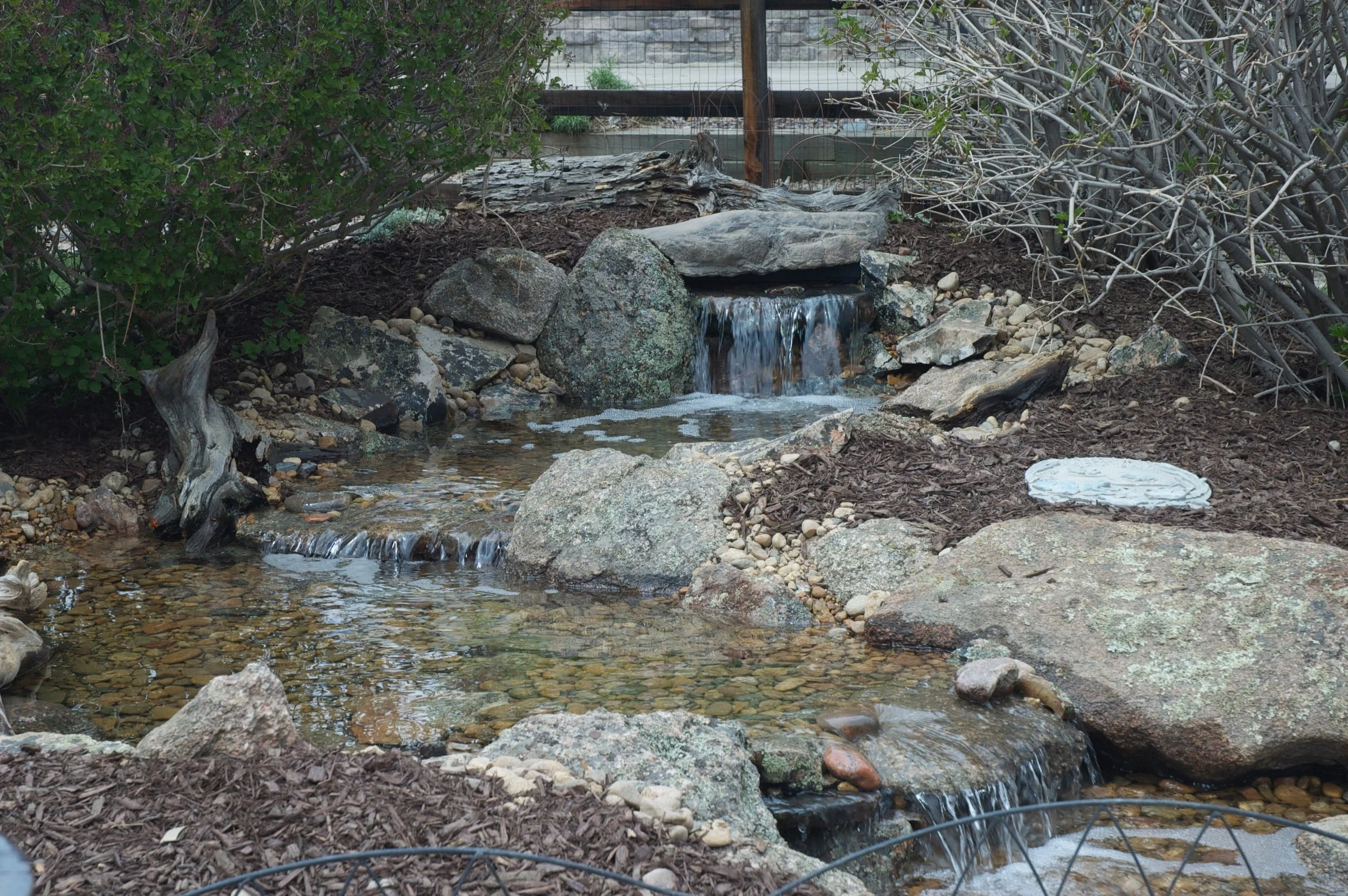DSC_0037.jpg