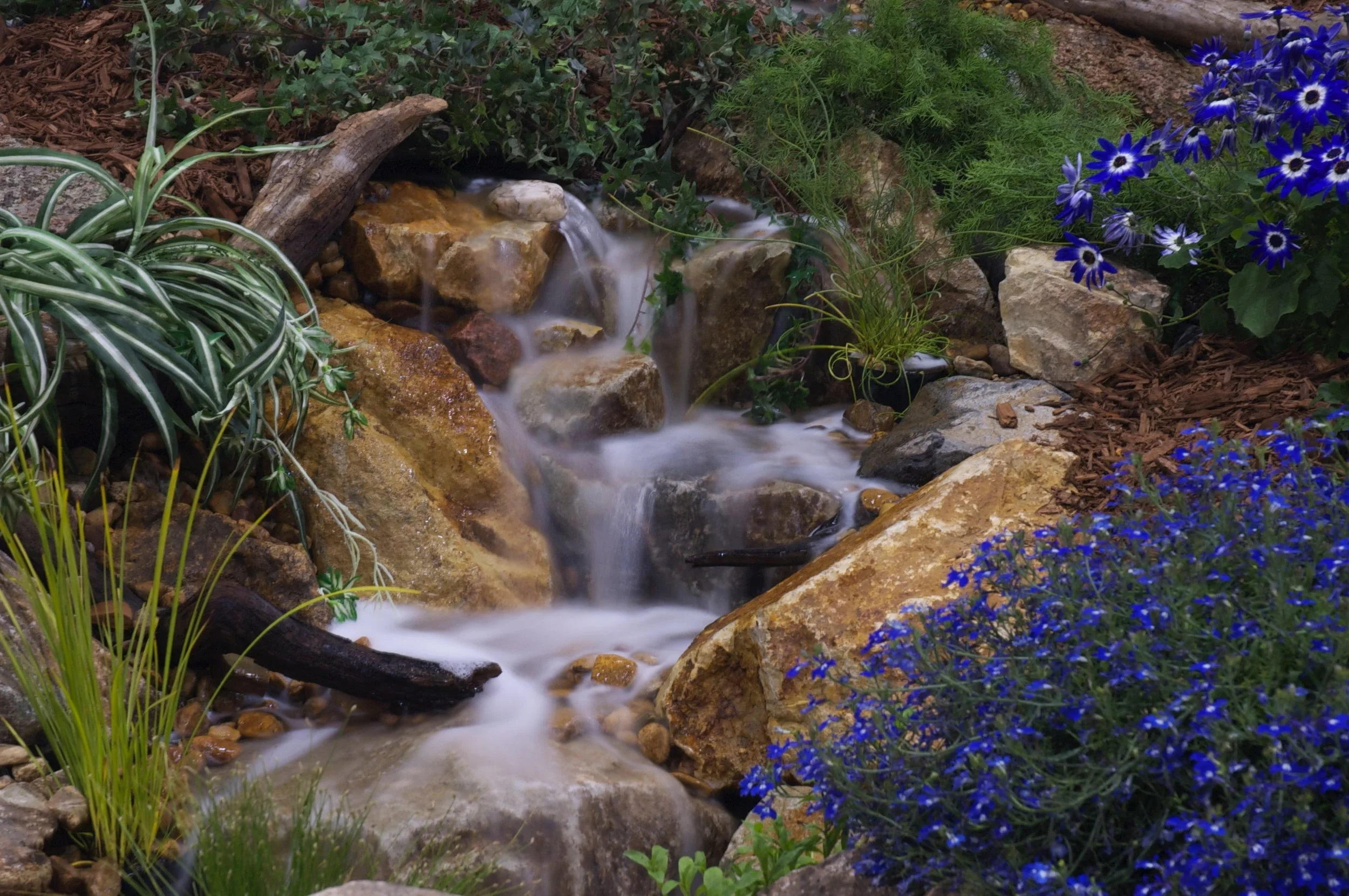DSC_0040.jpg