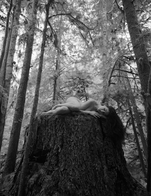 Sappling