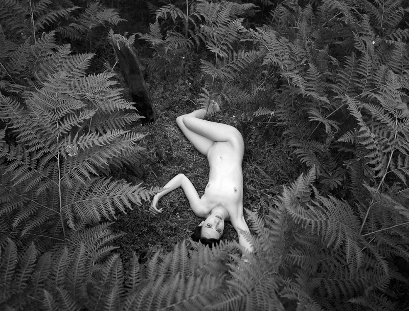 Fern Frame