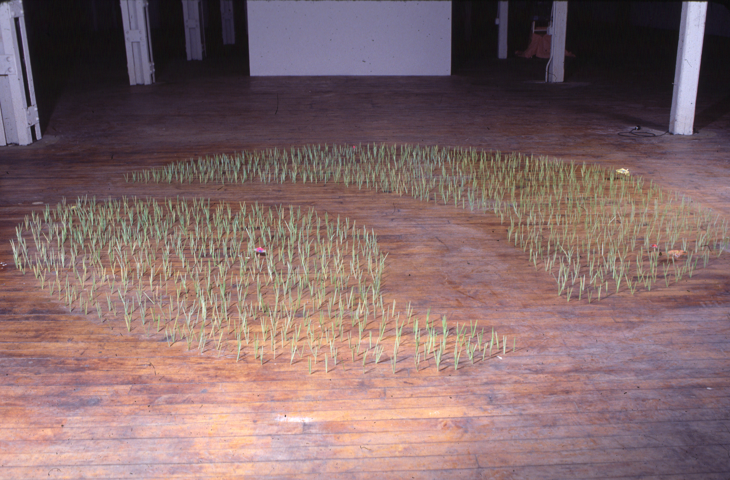 Lawn, 1998