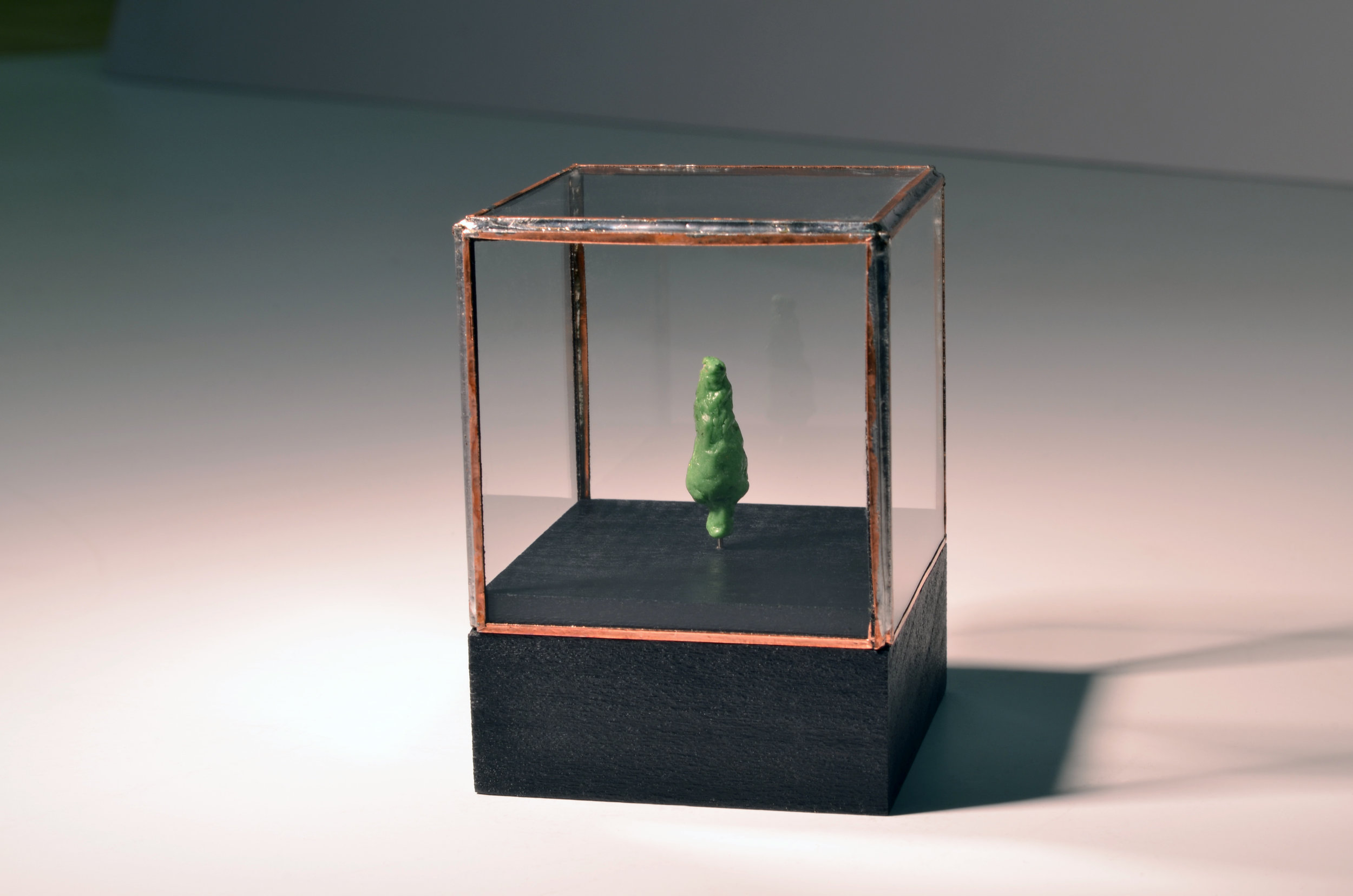 02_ARBORVITAE.jpg
