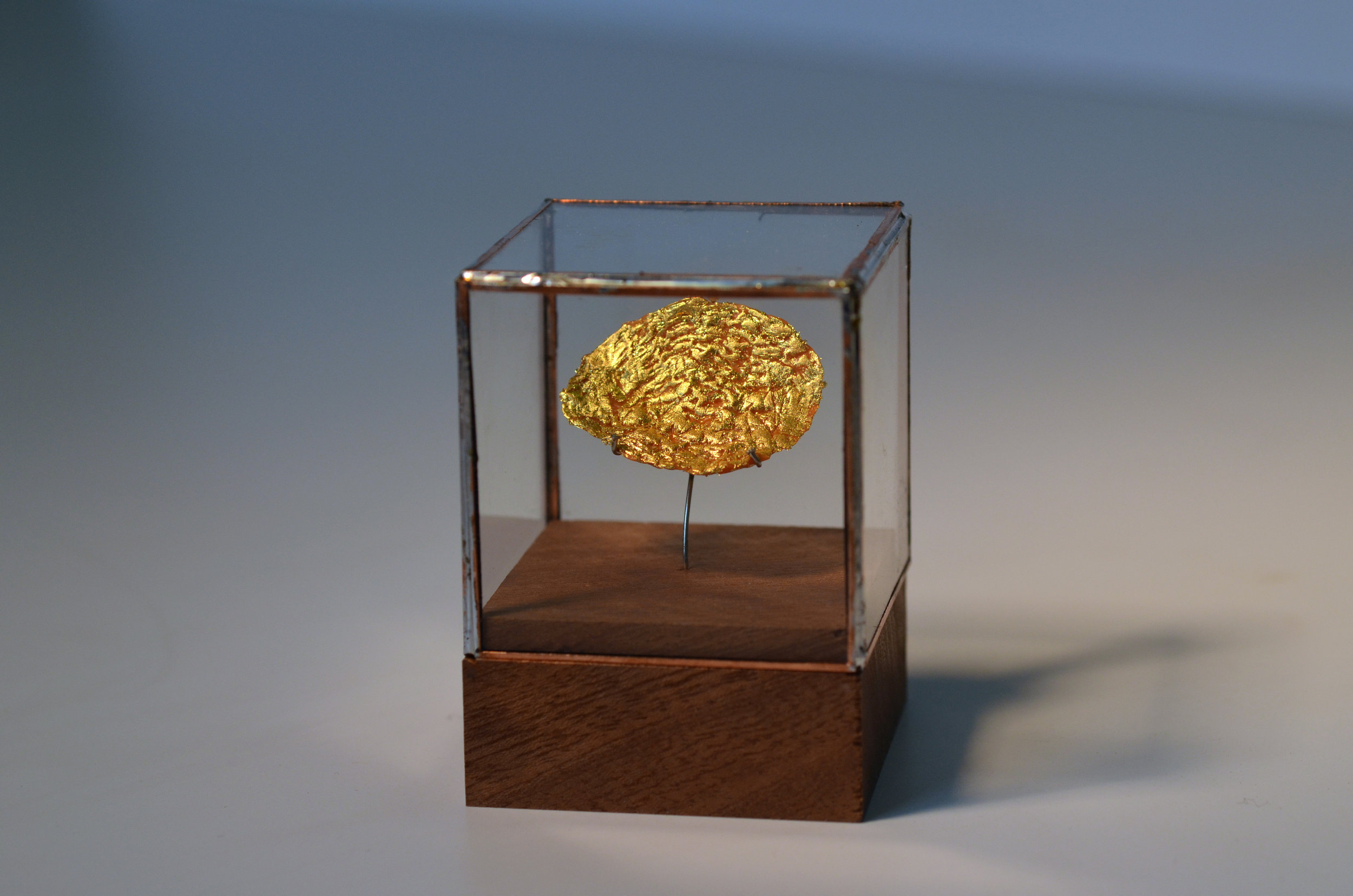 07_golden disc.jpg