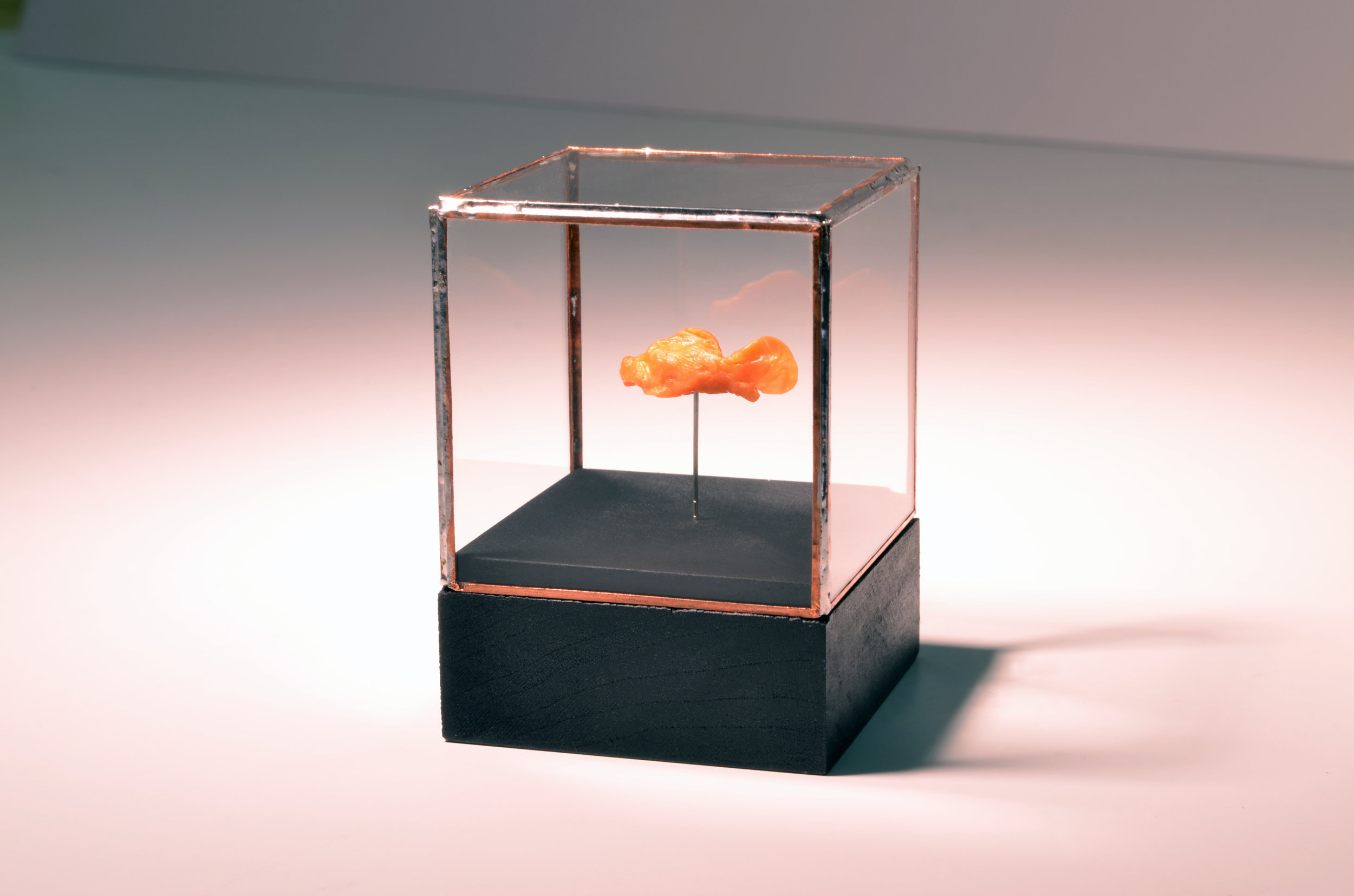 13_ORANGE GOLDFISH_02.jpg