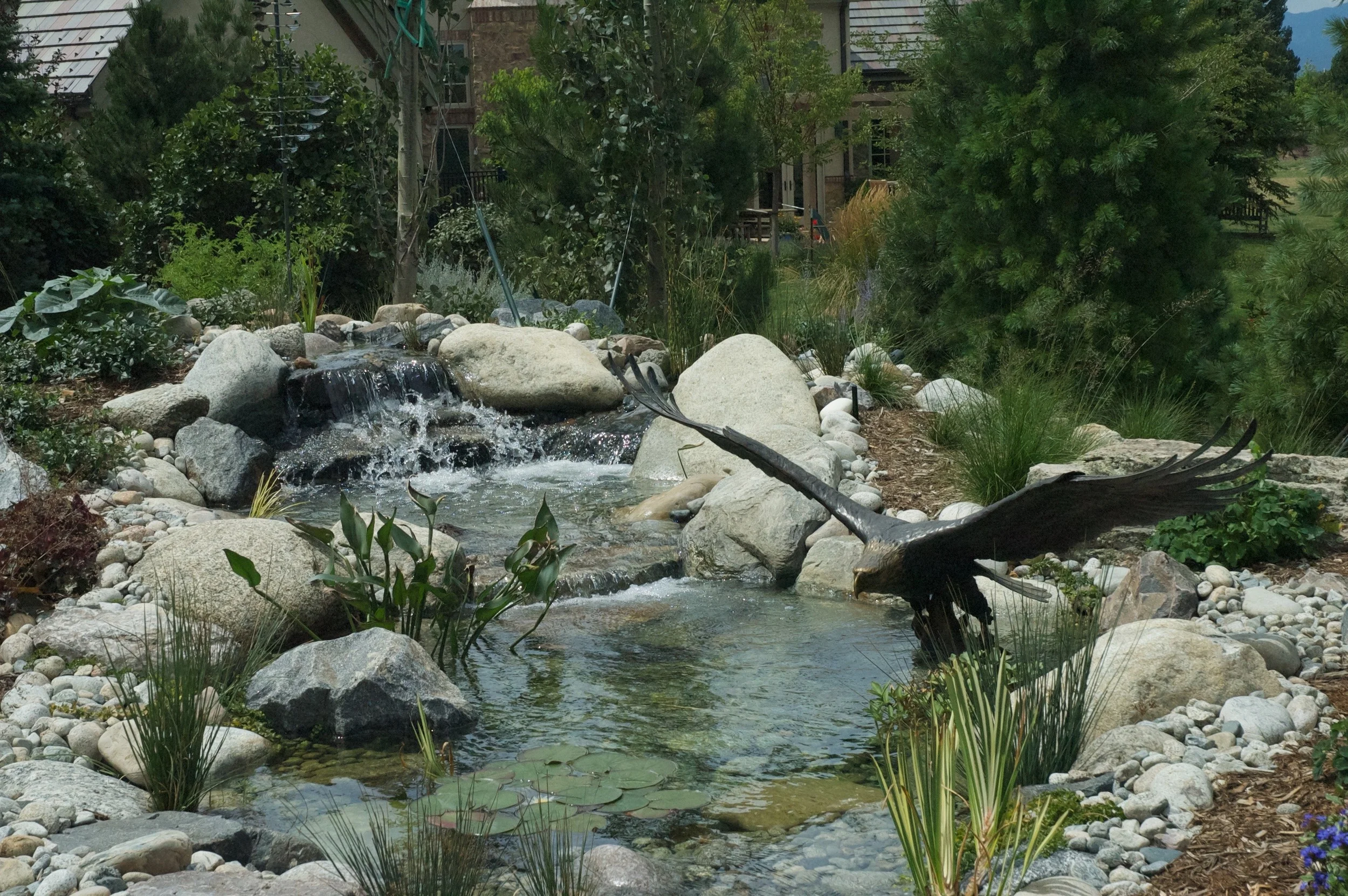 DSC_0116.jpg