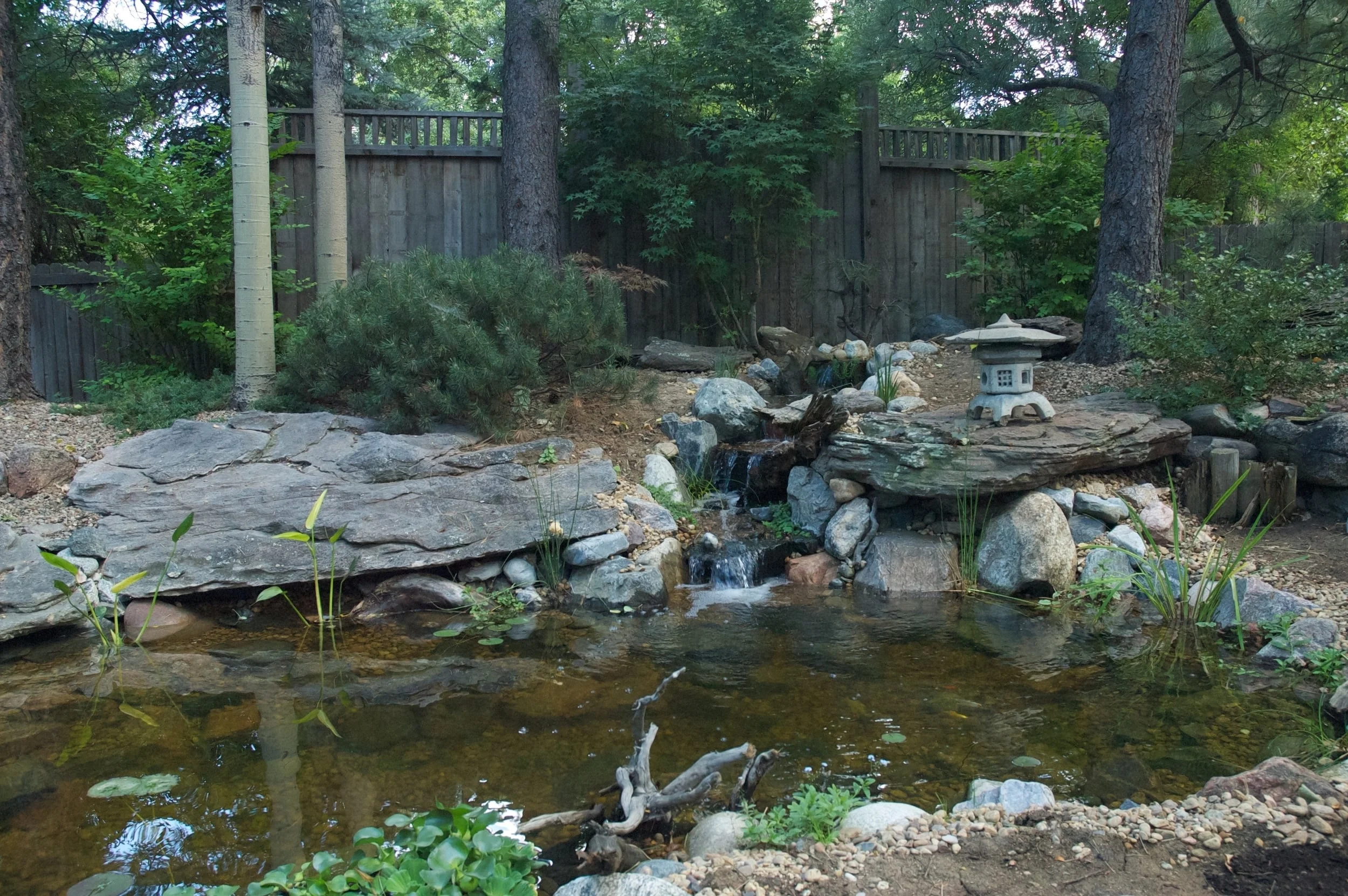 DSC_0012.jpg