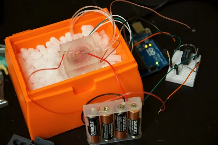 Golden Gate reaction test