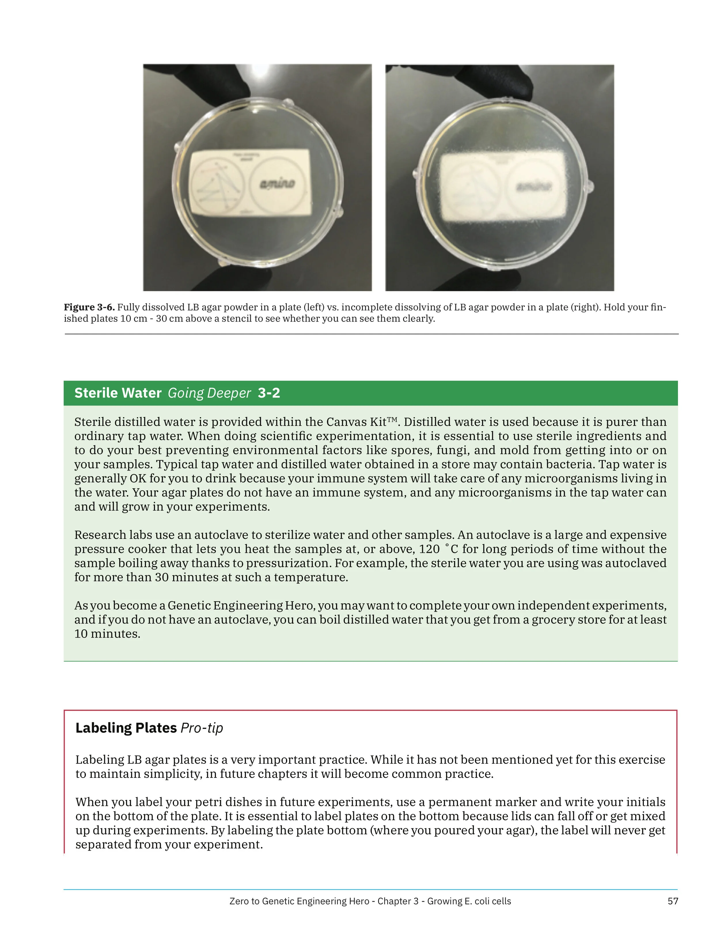 Zero to Genetic Engineering Hero Beginners guide book Screenshot-8.jpg