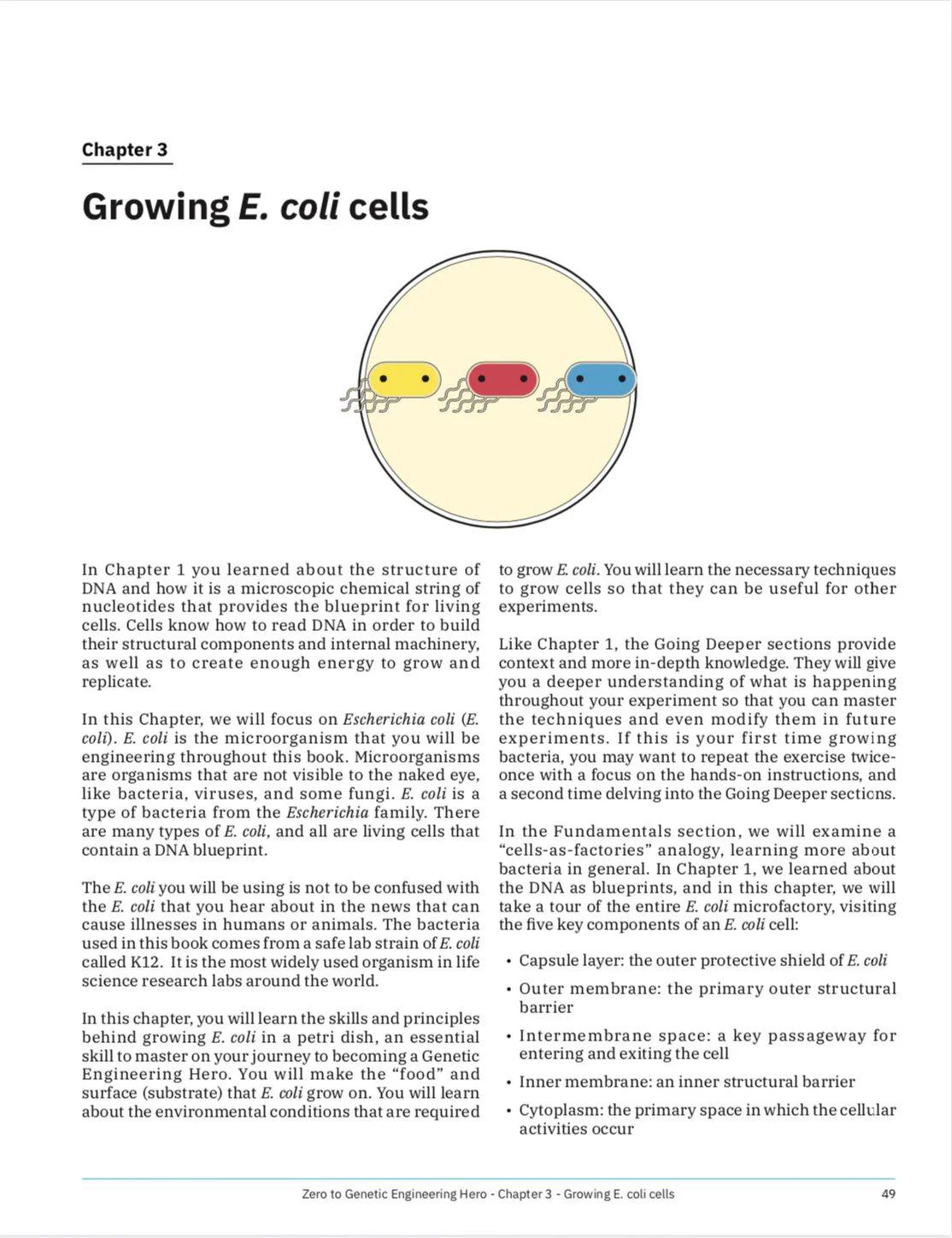 Zero to Genetic Engineering Hero Beginners guide book Screenshot.jpeg