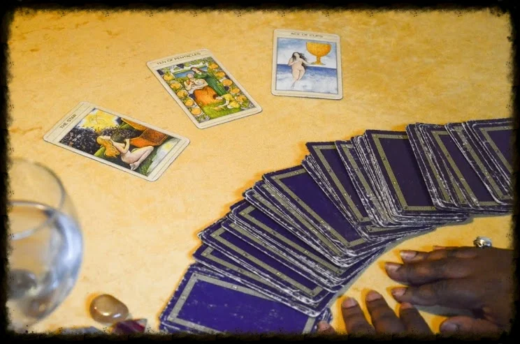 MissRenee_cards.jpg
