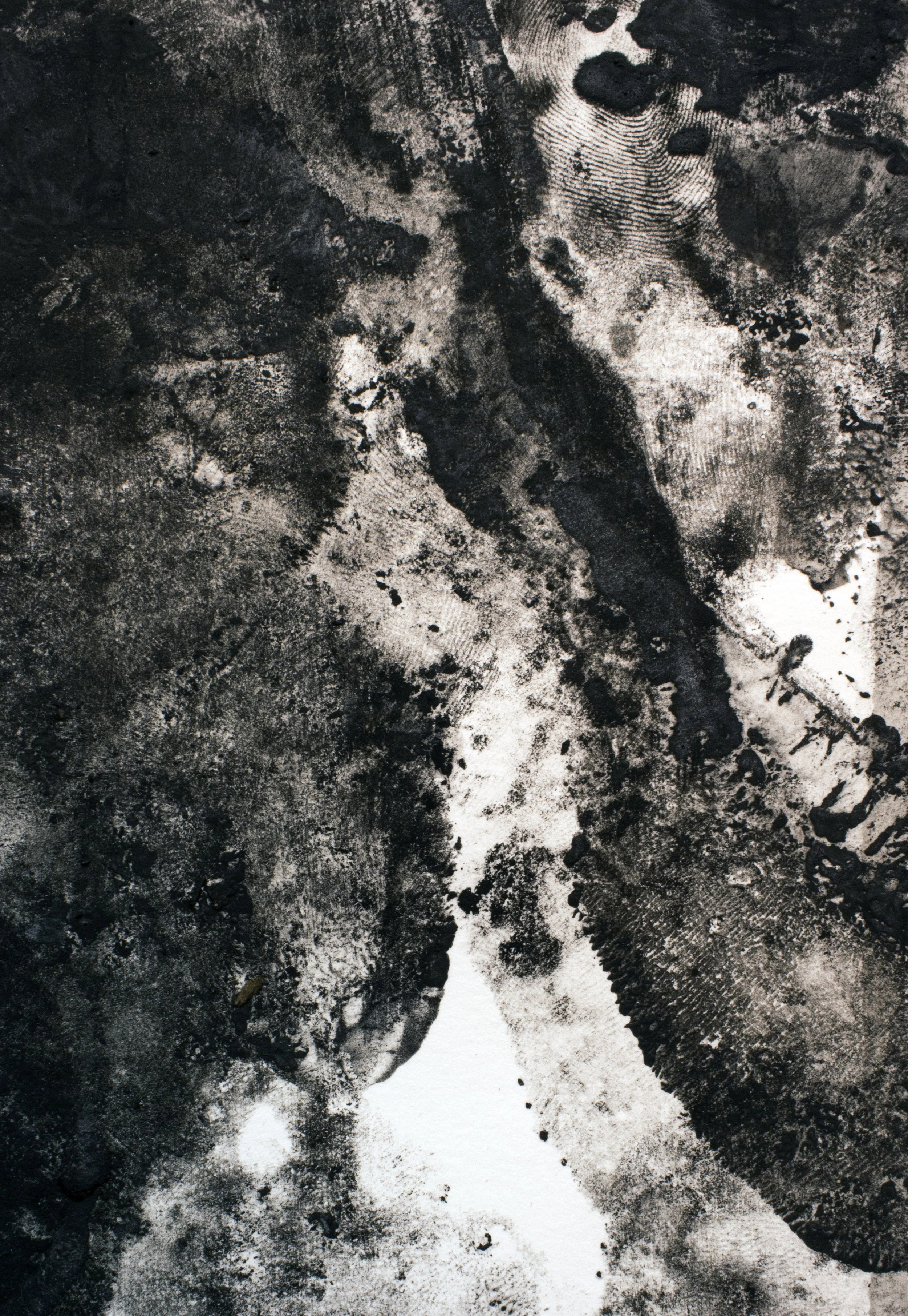Shaconage (detail)
