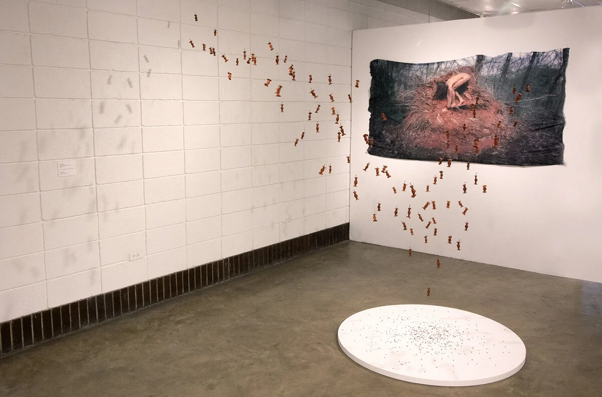 Coffin_Alyssa_Divisions of Humus 72dpi..jpg