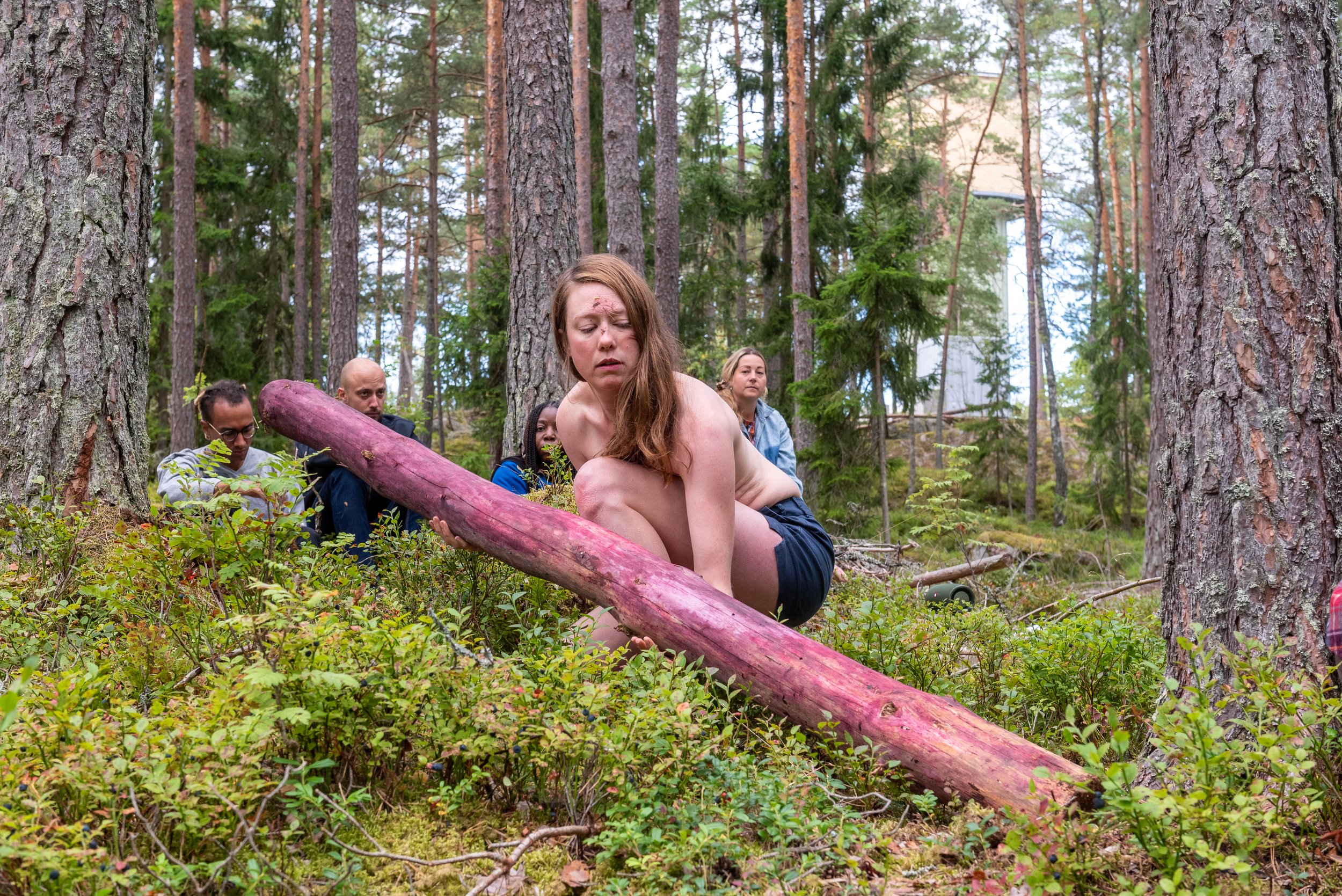 Rituals for becoming Indigenous to 7 blueberries bushes, two trees, and a mosquito