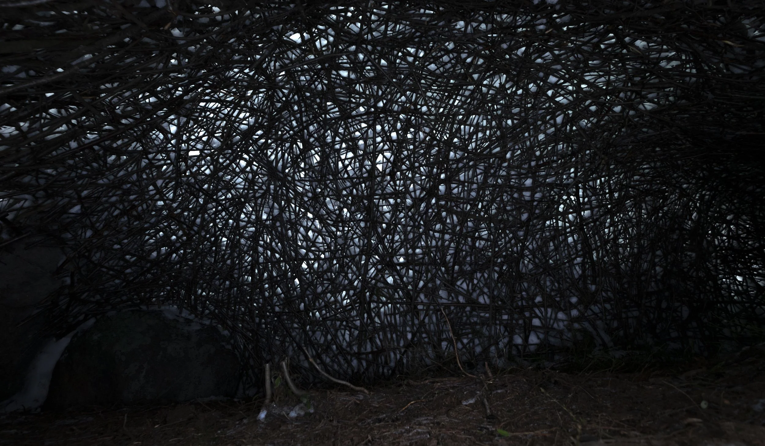   Silence Chamber , woven birch, rowan and aspen branches, fallen snow (sometimes melting), visits facilitated for participatory interaction, forest in Rastila, East Helsinki, dimensions intentionally unknown, 2022-23 