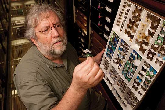 Head curator Dr. John Rawlins at work