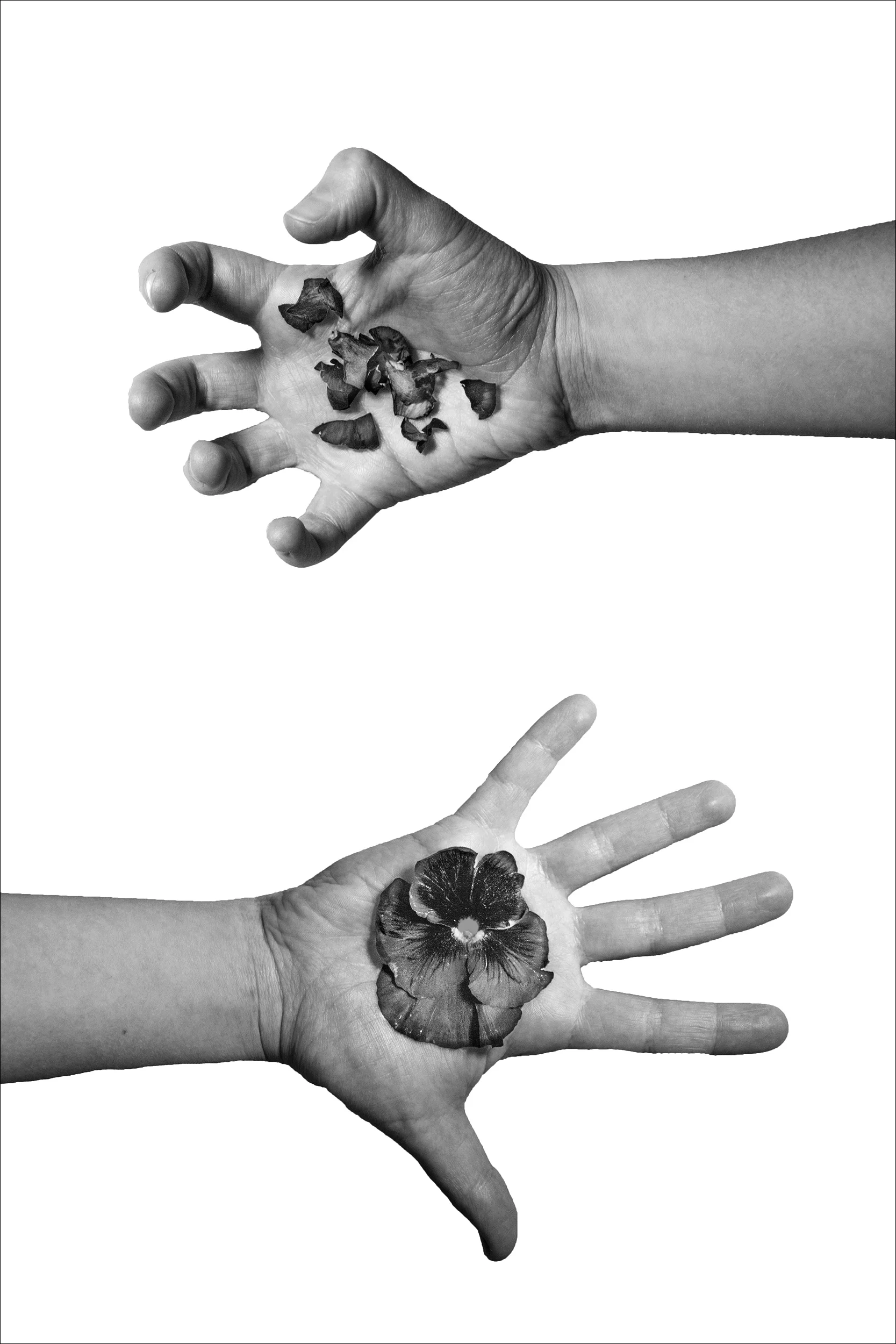 Commercial-Still Life_Smith_1 copy.jpg