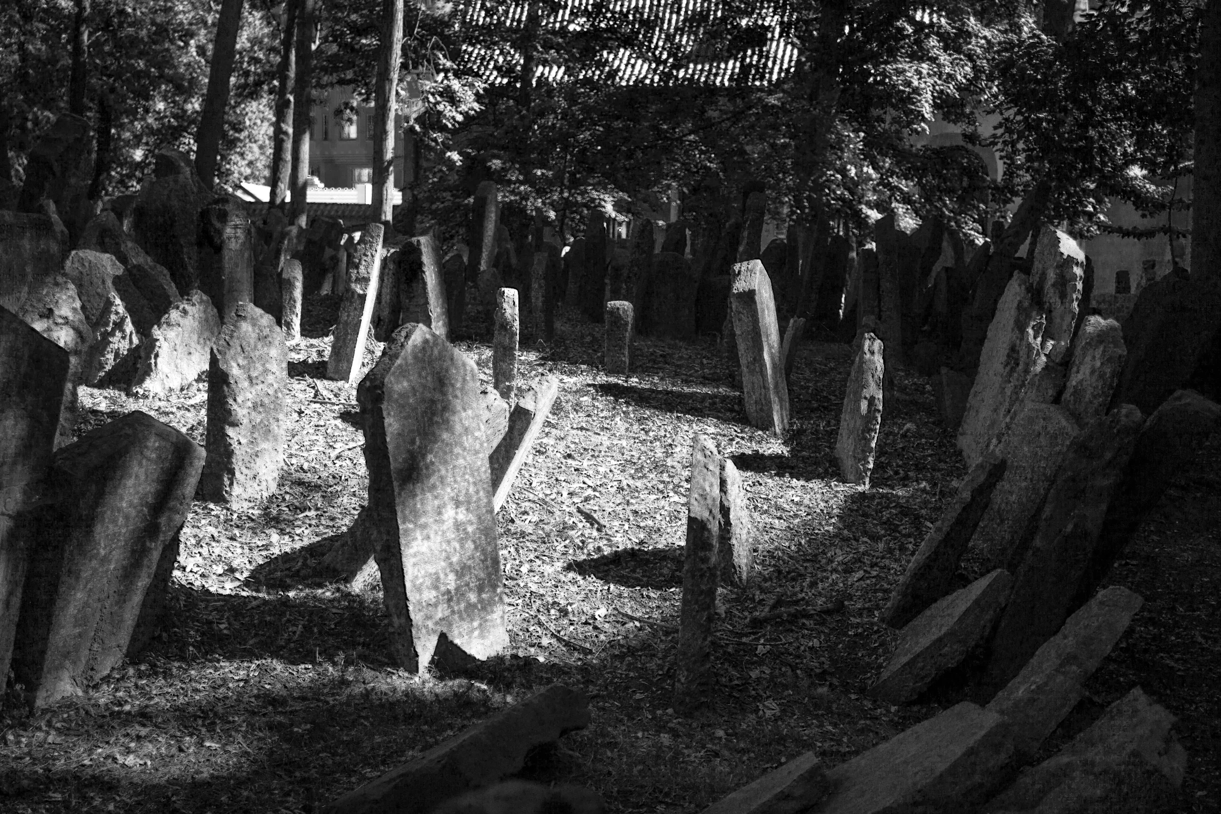 Jewish Cemetary 2 copy.jpg