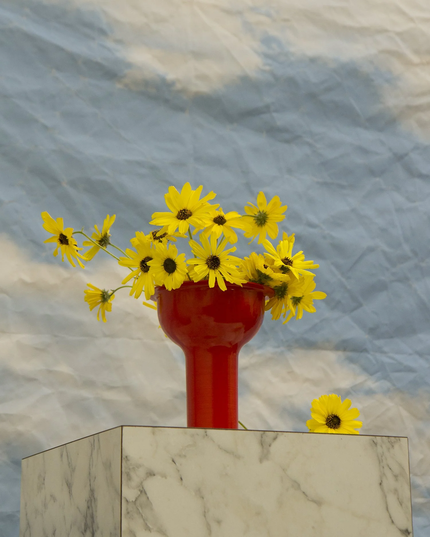 SV02_Red_IGgrid_EricTrineStudio.jpg