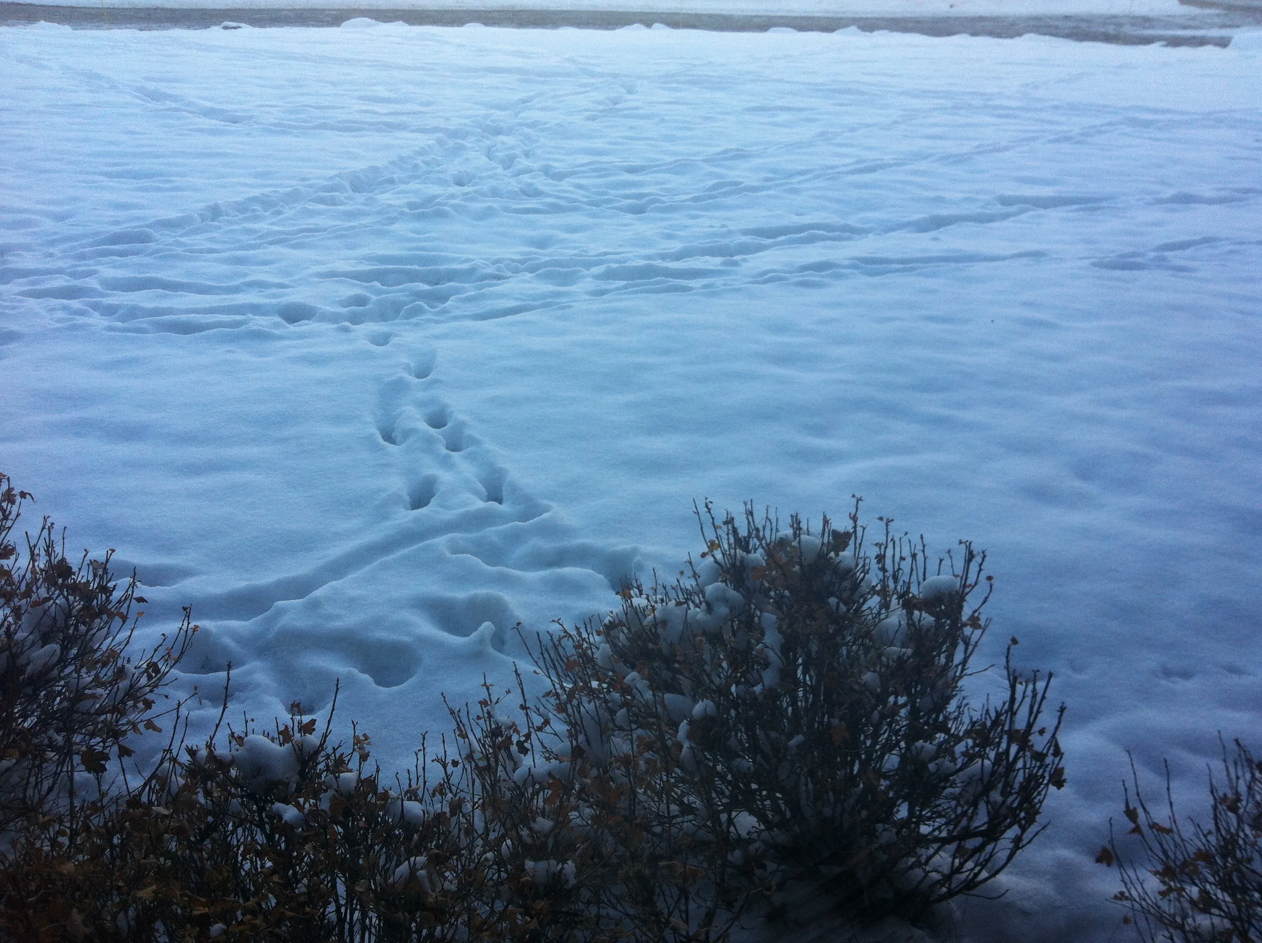 Inspiring artists from the Banff Fall Residency..