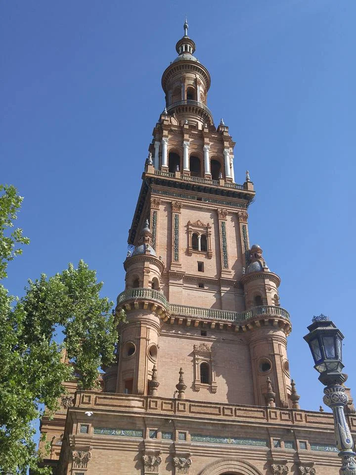 79.jpg