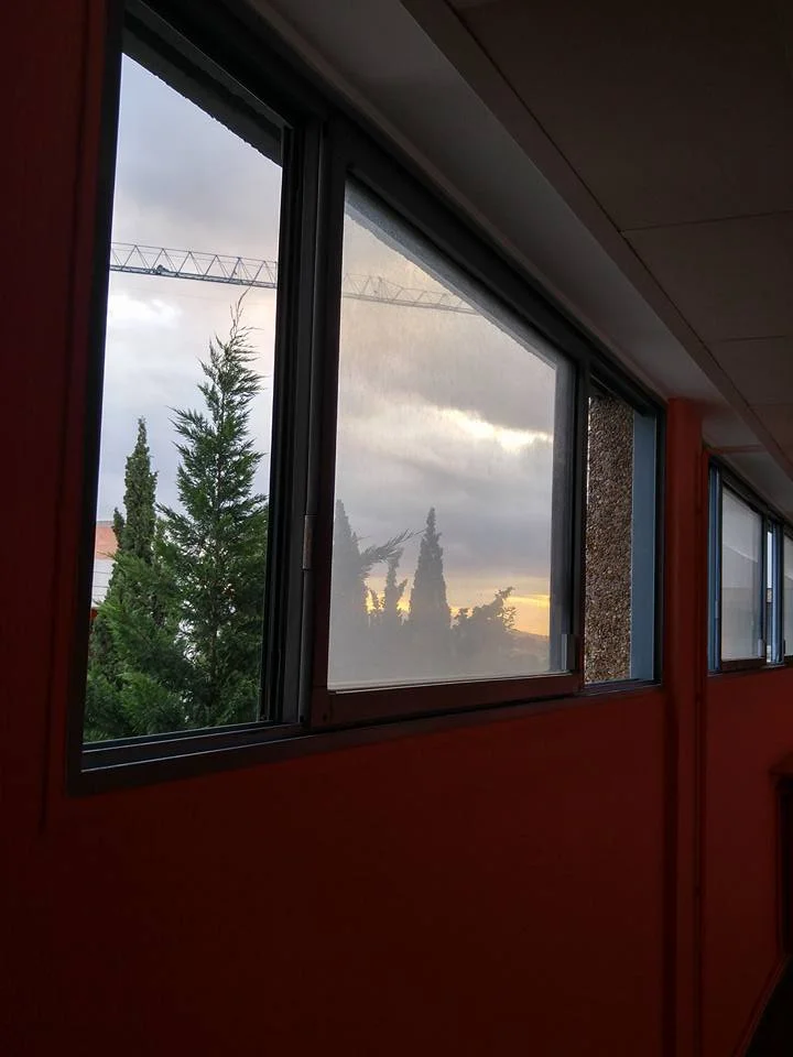 123.jpg