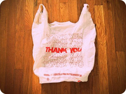 4541283430_62a1b03690_z_large