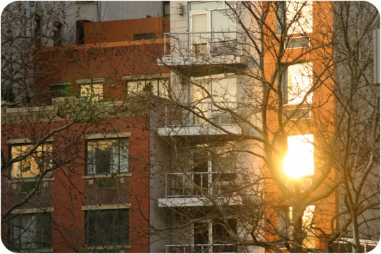 NYC END_3new photo-4