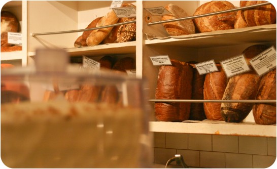 NYC END_3new photo-7