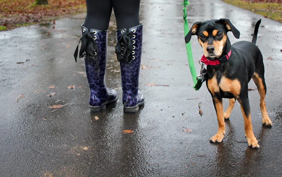 The Country Christinanew photo-5