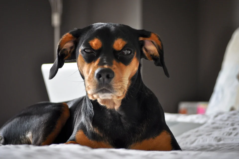 room detailsnew photo-16