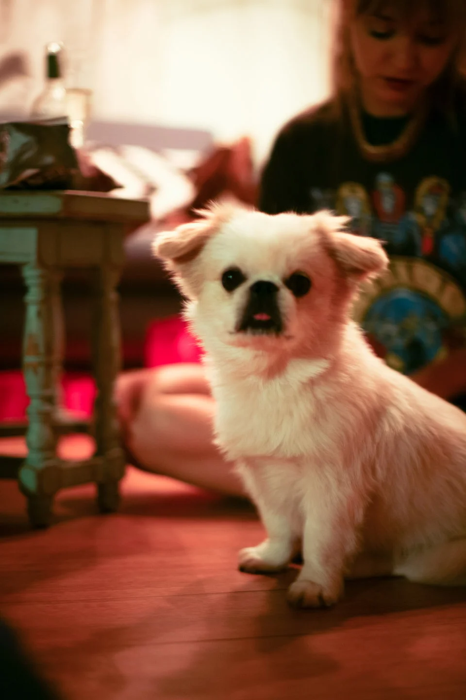 los-angeles-trip-christina-topacio-profresh-style-fashion-nyc-blogger-15