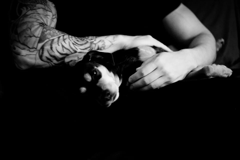 profresh-style-christina-topacio-zara-jacket-striped-shirt-ripped-jeans-eating-in-astoria-bloggers-and-friends-nyc-blogger-5