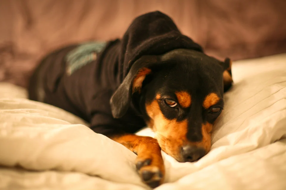 profresh-style-long-island-city-where-to-brunch-good-cheap-brunch-places-nyc-fashion-blogger-5