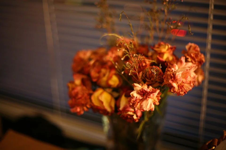 profresh-style-long-island-city-where-to-brunch-good-cheap-brunch-places-nyc-fashion-blogger-2