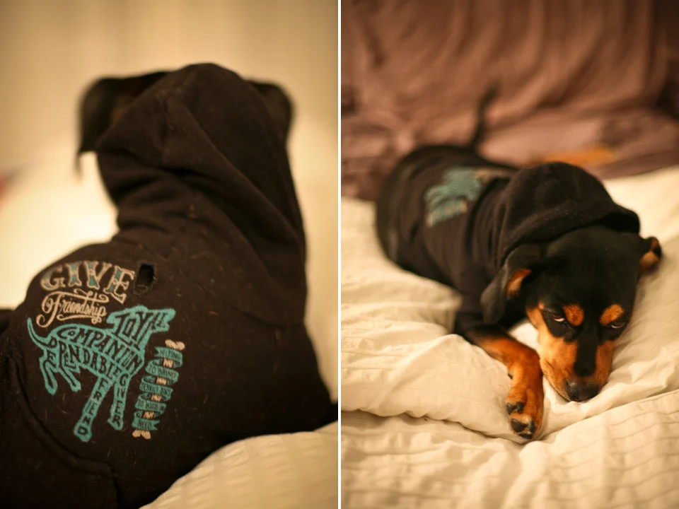 profresh-style-long-island-city-where-to-brunch-good-cheap-brunch-places-nyc-fashion-blogger-6