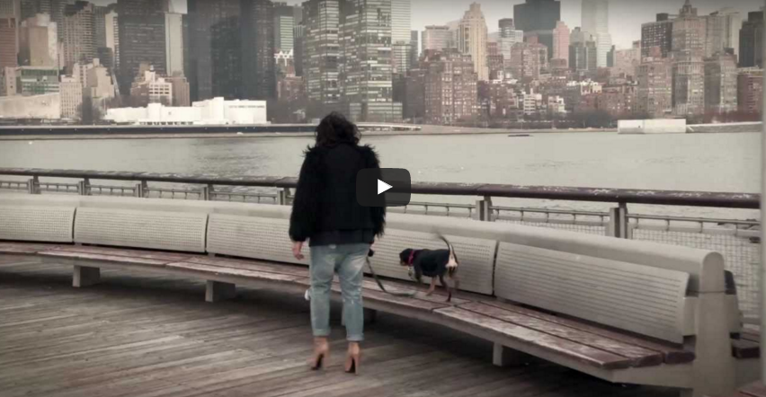 PEEK INTO MY NEW YORK LIFE + VID