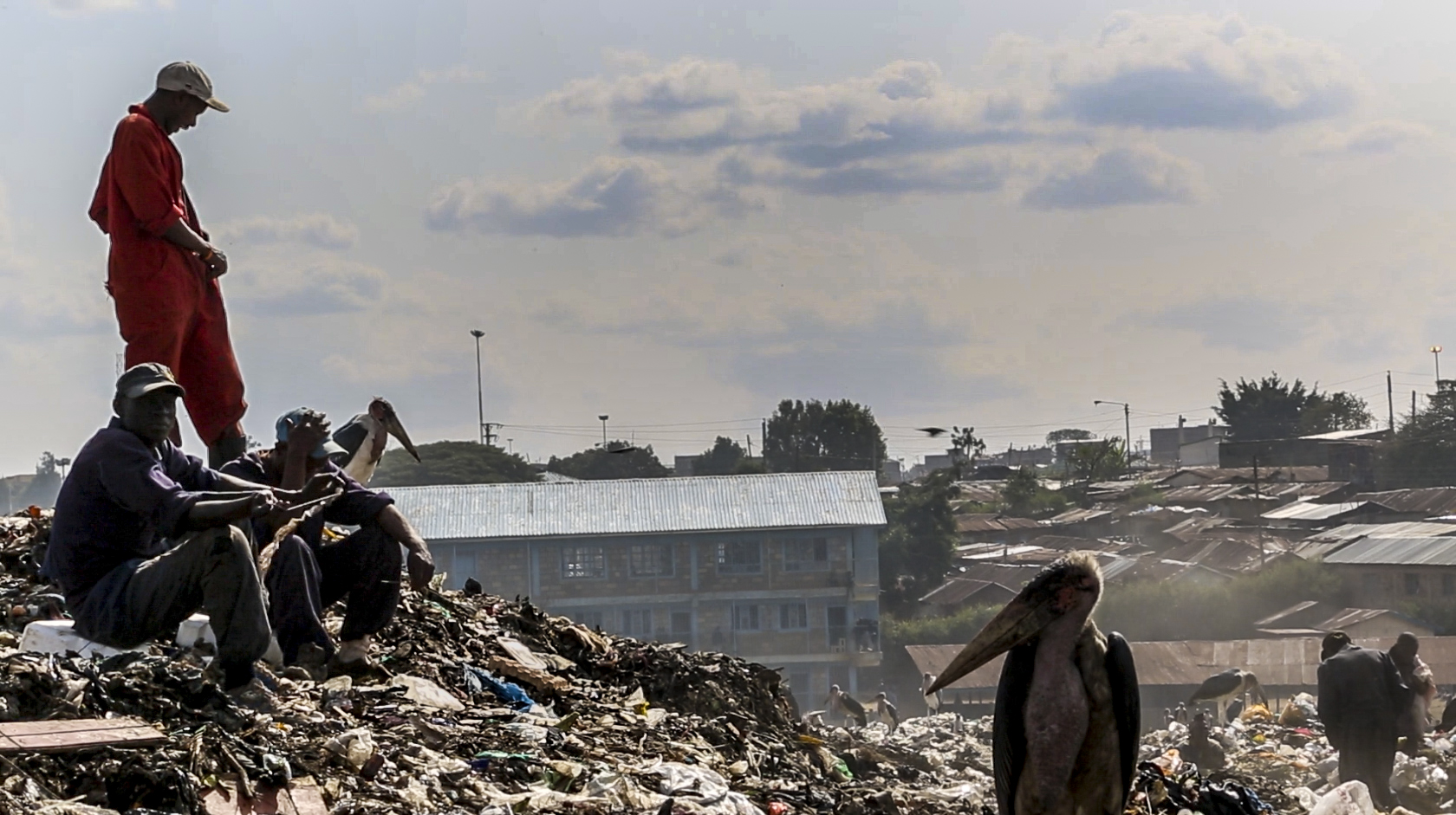  "Tuko Pamoja" - Maribou storks and waste workers often work side by side in Dandora. Plans to relocate the dumpsite to Ruai were dashed in January 2016 when the Kenya Aviation Authority warned that scavenging birds would be too much of a flight risk