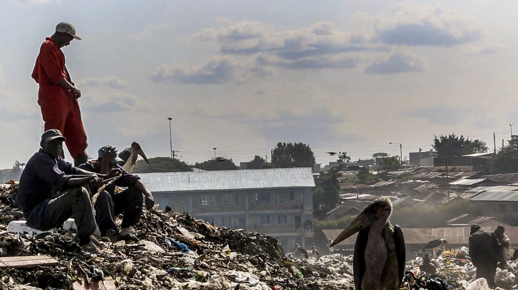 "Tuko Pamoja" - Maribou storks and waste workers often work side by side in Dandora. Plans to relocate the dumpsite to Ruai were dashed in January 2016 when the Kenya Aviation Authority warned that scavenging birds would be too much of a flight risk for incoming and outgoing flights from Jomo Kenyatta International Airport.