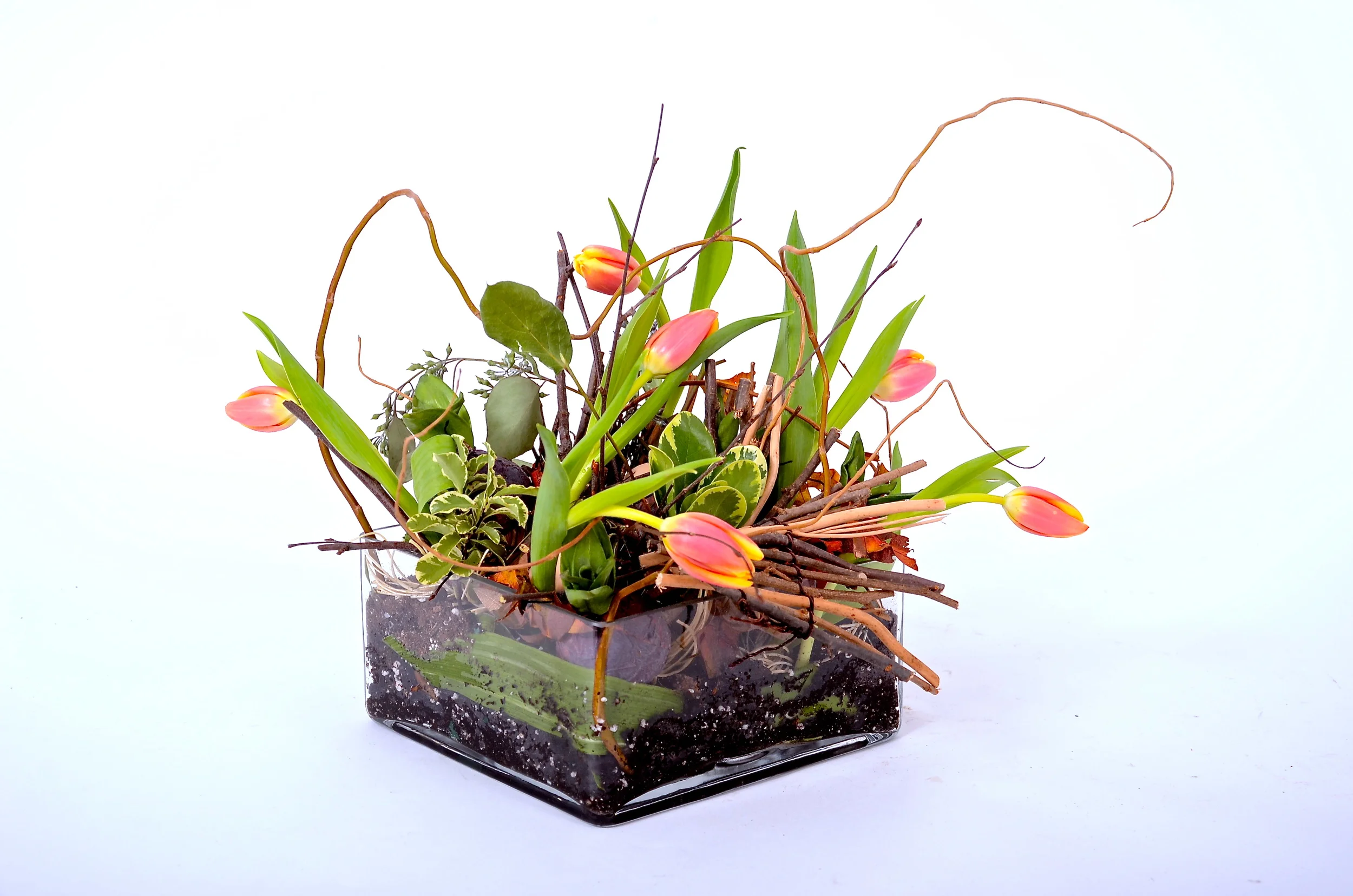 Image 13.jpg