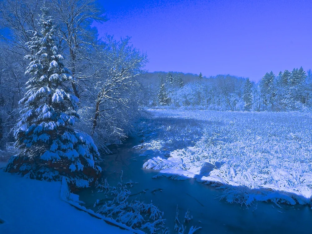 TST-Winter.jpg