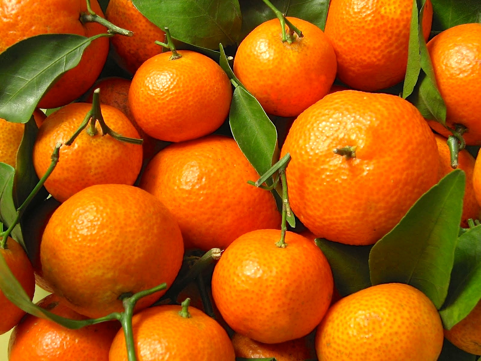 oranges.jpg