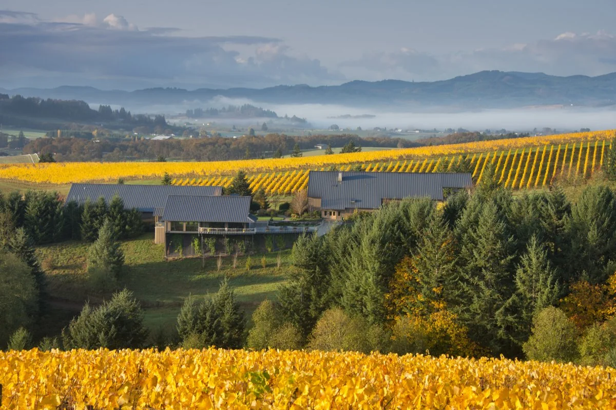 Willakenzie Vineyards -Oregon's Willamette Valley