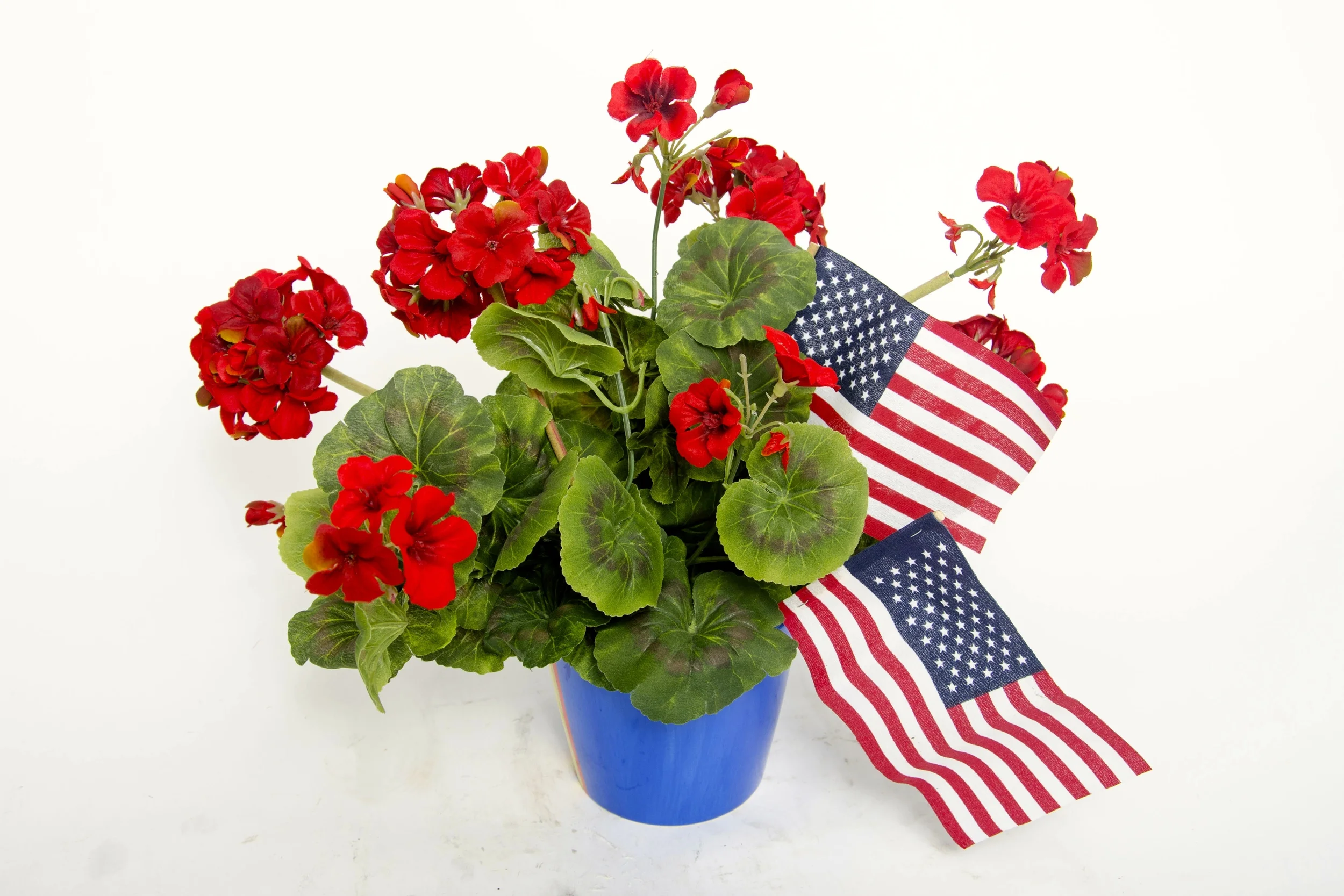 4th of July Geraniums