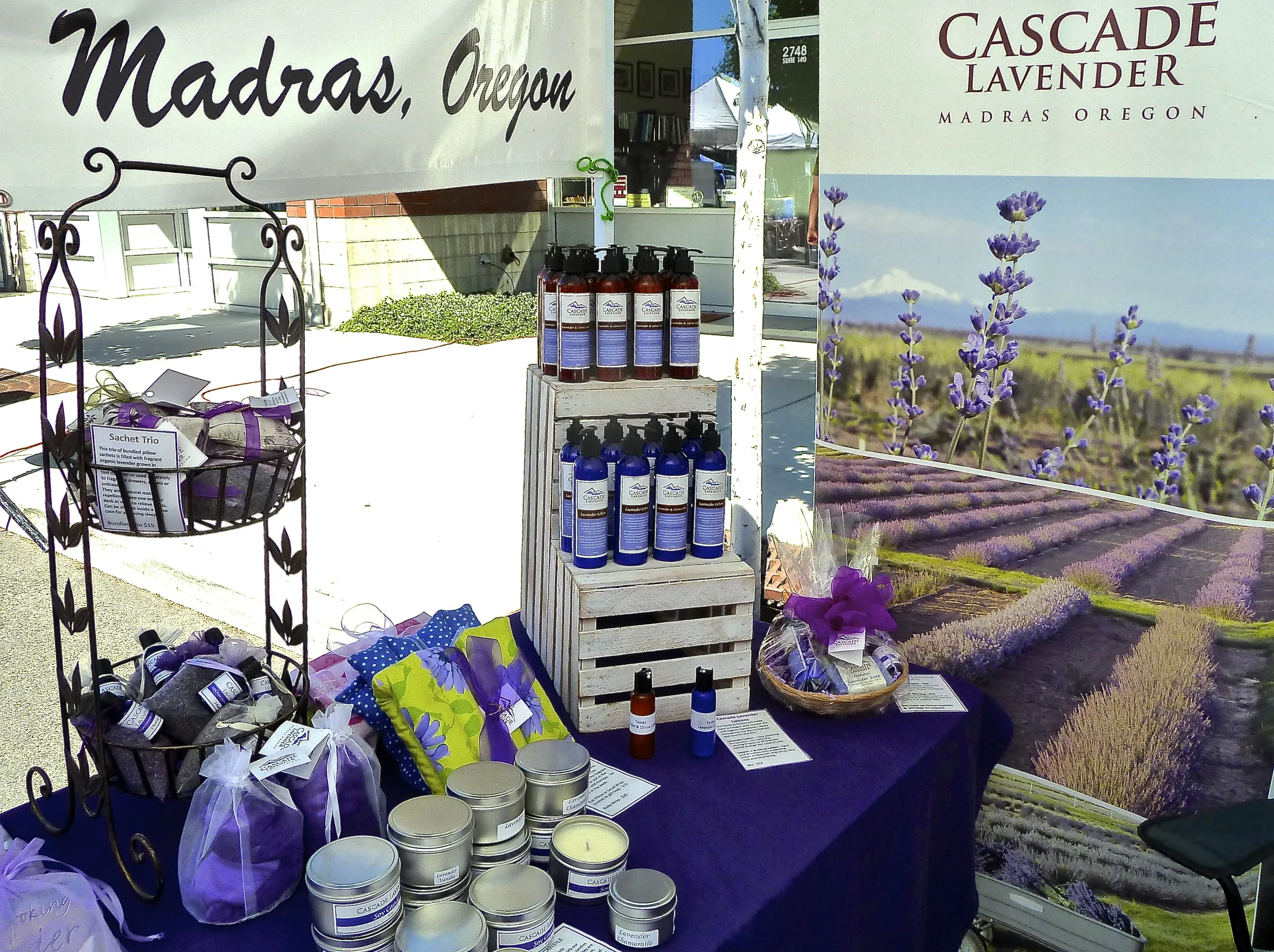 Cascade Lavender -Madras, Oregon