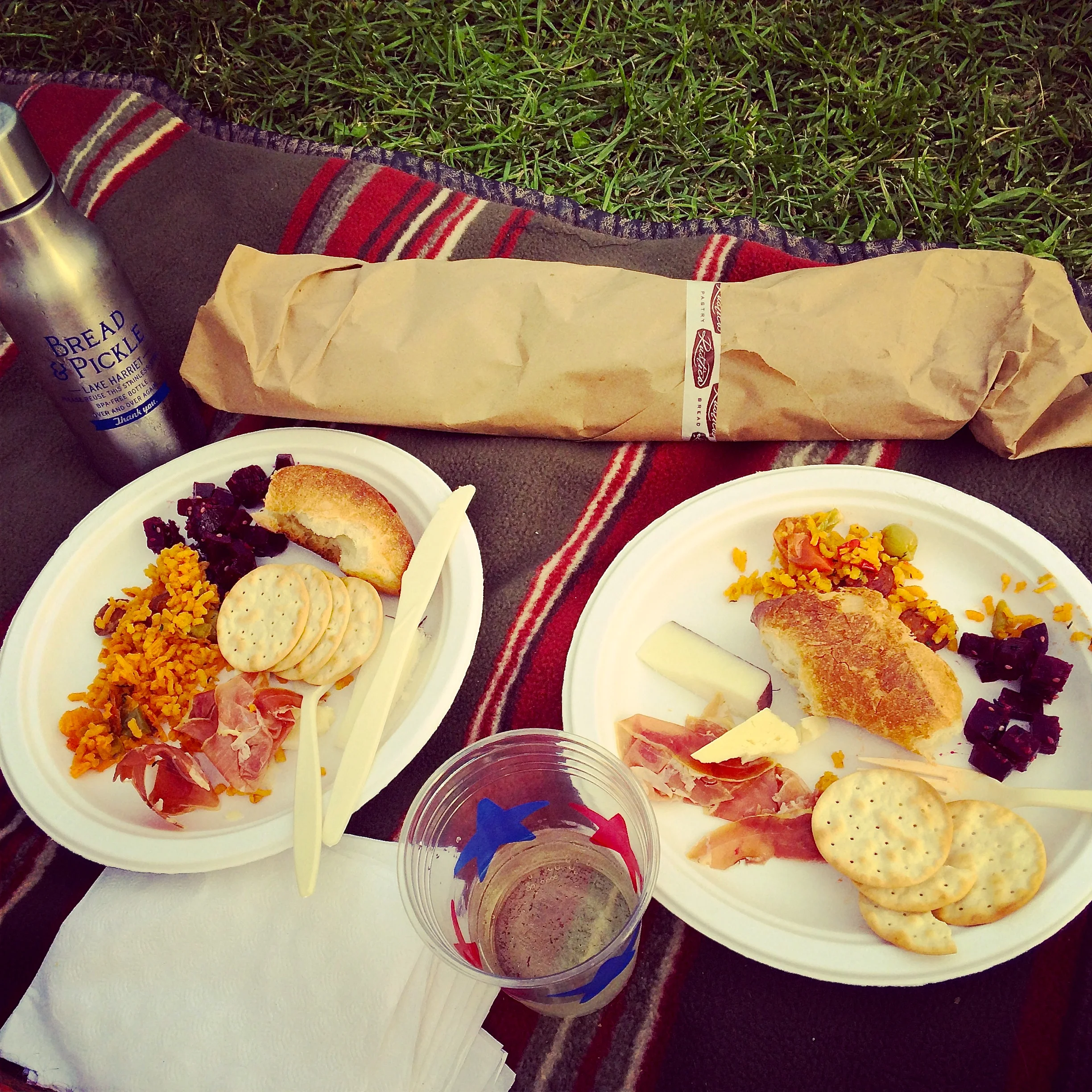TST_Picnic_photo.jpeg