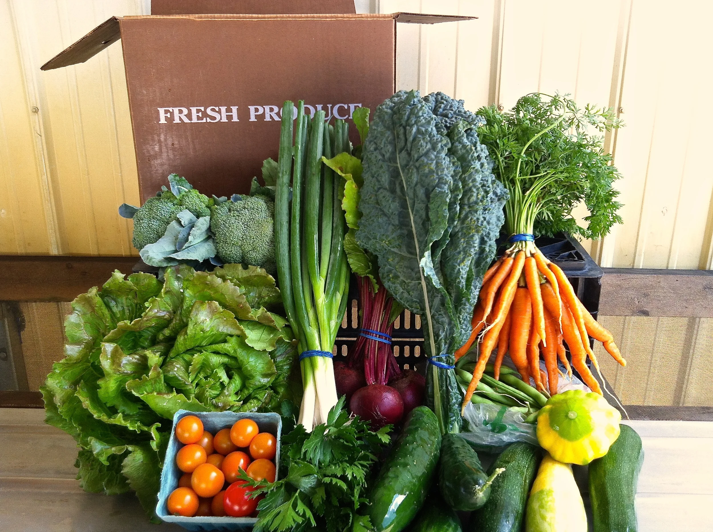 TST_CSABox_LoonOrganics_photo.jpeg